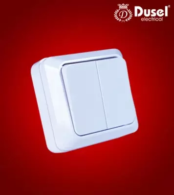 Наружный двухклавишный выключатель Dusel Du-15