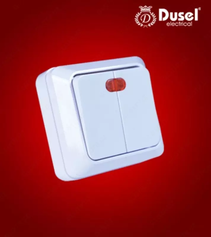 Наружный двухклавишный выключатель Dusel Du-31