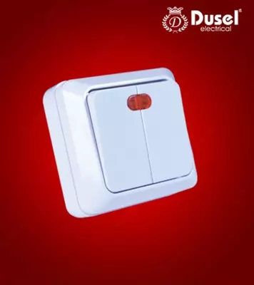 Наружный двухклавишный выключатель Dusel Du-31