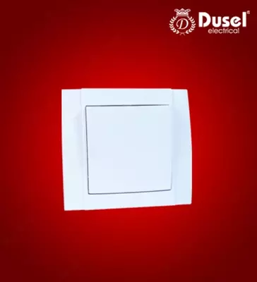 Выключатель одноклавишный Dusel Du-21