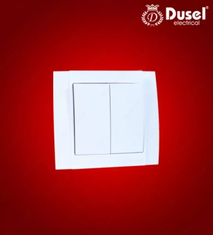 Выключатель двухклавишный Dusel Du-22