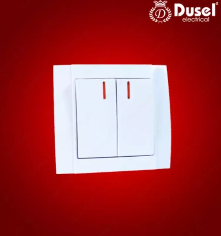 Выключатель двухклавишный Dusel Du-29