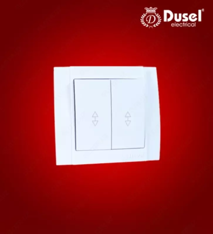 Выключатель двухклавишный Dusel Du-53