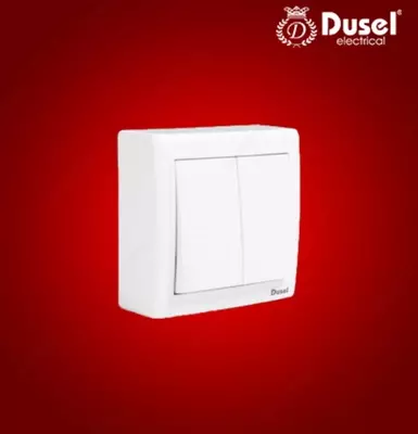 Выключатель двухклавишный Dusel DU-77