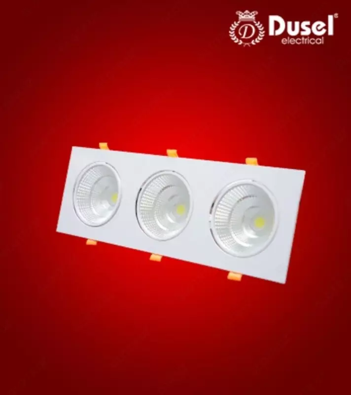 Точечный светодиодный светильник Dusel 307