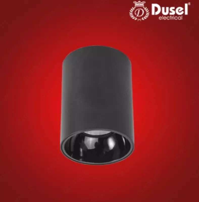 Точечные накладные светильники Dusel 12W