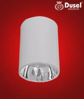 Точечные накладные светильники Dusel 12W