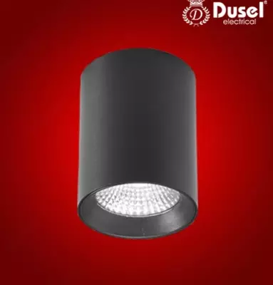 Точечные накладные светильники Dusel 18W