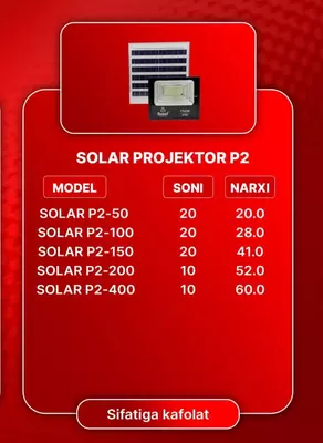 Светодиодный прожектор SOLAR P2-100