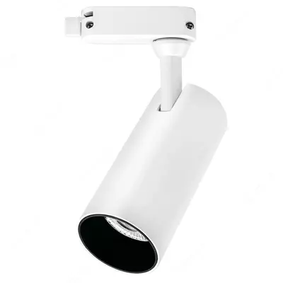 LED yo'l chiroq "Dusel" TS2, 30W, 4500/6500 K, IP20 (Oq)