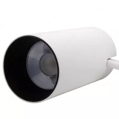 LED yo'l chiroq "Dusel" TS2, 30W, 4500/6500 K, IP20 (Oq)