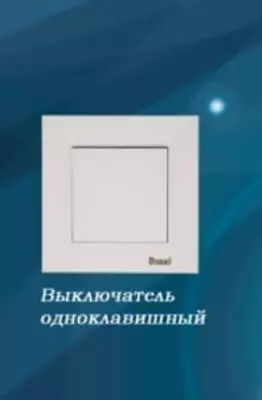 Выключатель (одноклавишный) "Dusel" Rich, 10А, 210-250 В (Белый)