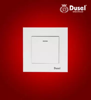 Выключатель с индикатором - подсветкой (одноклавишный) "Dusel" Rich, 10А, 210-250 В (Белый)