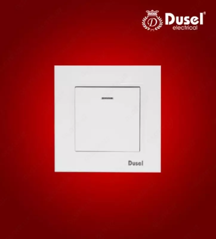Выключатель с индикатором - подсветкой (одноклавишный) "Dusel" Rich, 10А, 210-250 В (Белый)