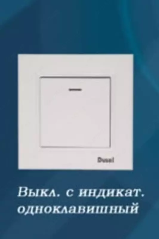 Выключатель с индикатором - подсветкой (одноклавишный) "Dusel" Rich, 10А, 210-250 В (Белый)