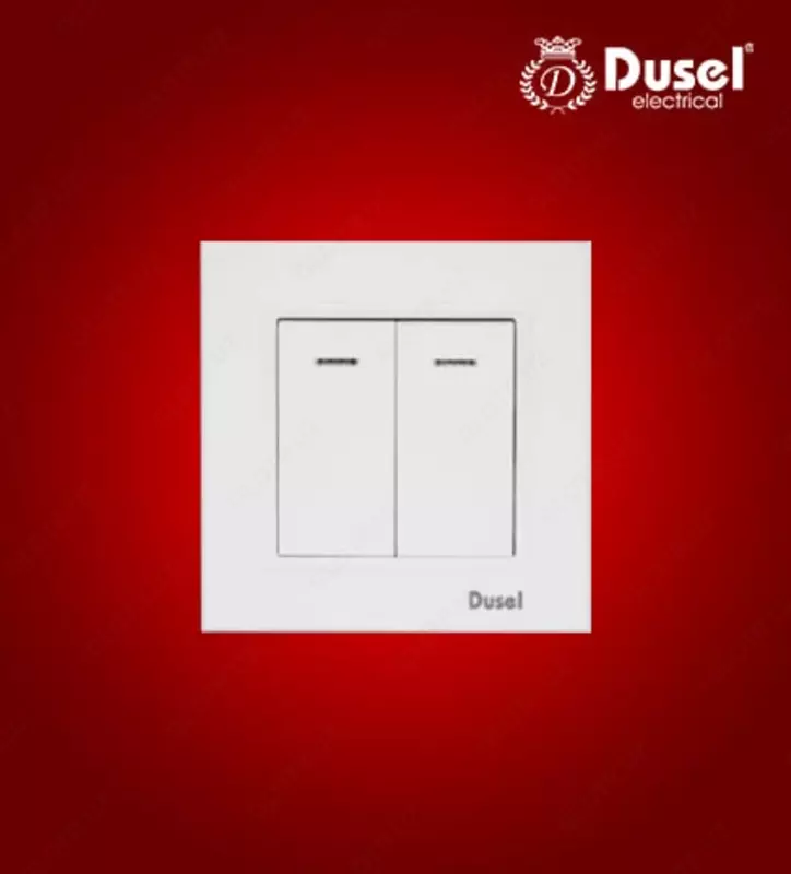 Выключатель с индикатором - подсветкой (двухклавишный) "Dusel" Rich, 10А, 210-250 В (Белый)