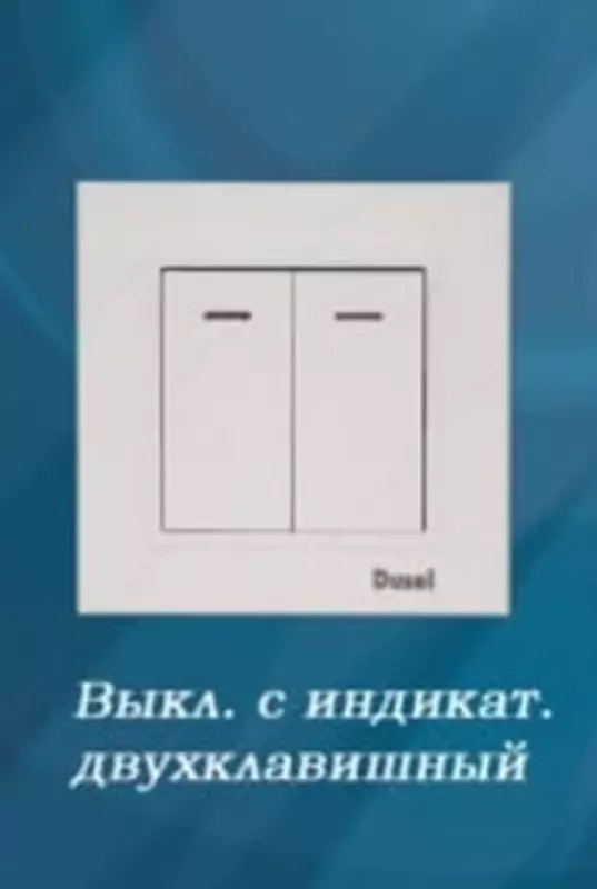 Выключатель с индикатором - подсветкой (двухклавишный) "Dusel" Rich, 10А, 210-250 В (Белый)