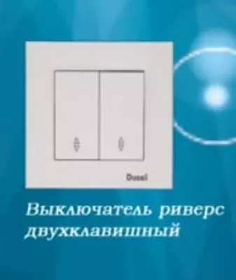 Выключатель реверсивный (двухклавишный) "Dusel" Rich, 10А, 210-250 В (Белый)