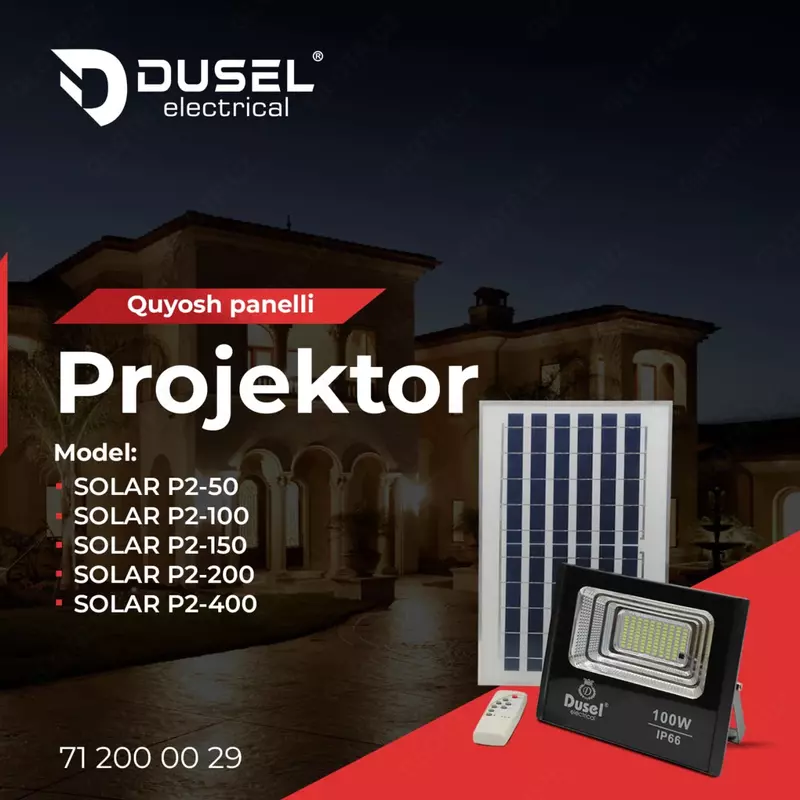 Солнечная панель (прожектор) "Dusel" Solar Light Р2, 100W, IP66