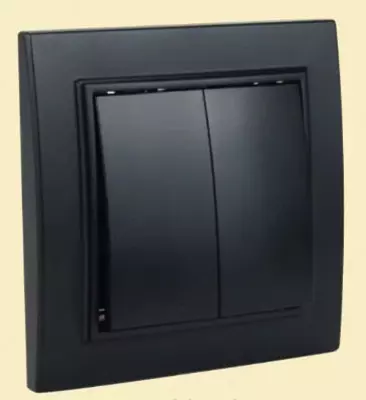 Выключатель (двухклавишный) "Dusel" Rich, 10А, 210-250 В (Black)