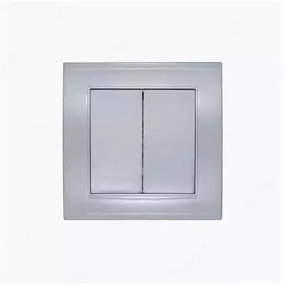 Выключатель (двухклавишный) "Dusel" Rich, 10А, 210-250 В (Silver)