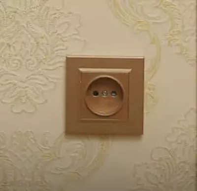 Одноместная электророзетка (с заземлением) "Dusel" Rich