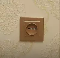 Одноместная электророзетка (с заземлением) "Dusel" Rich