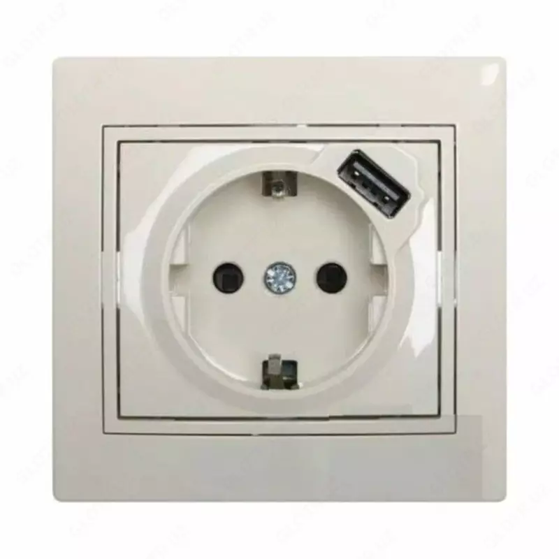 Одноместная розетка с USB-портом DC 5V 1A "Dusel" Rich, 16А, 250 В (Silver)