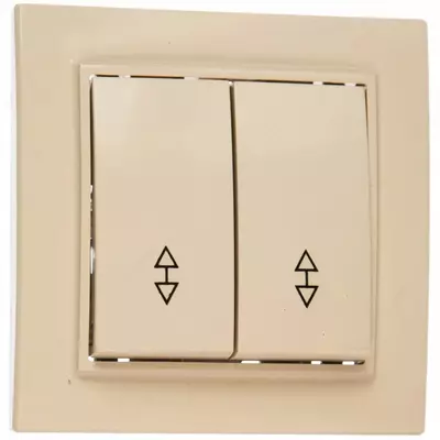 Выключатель реверсивный (двухклавишный) "Dusel" Rich