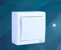 Tashqi kalit (bir tugma) "Dusel" Rich-101