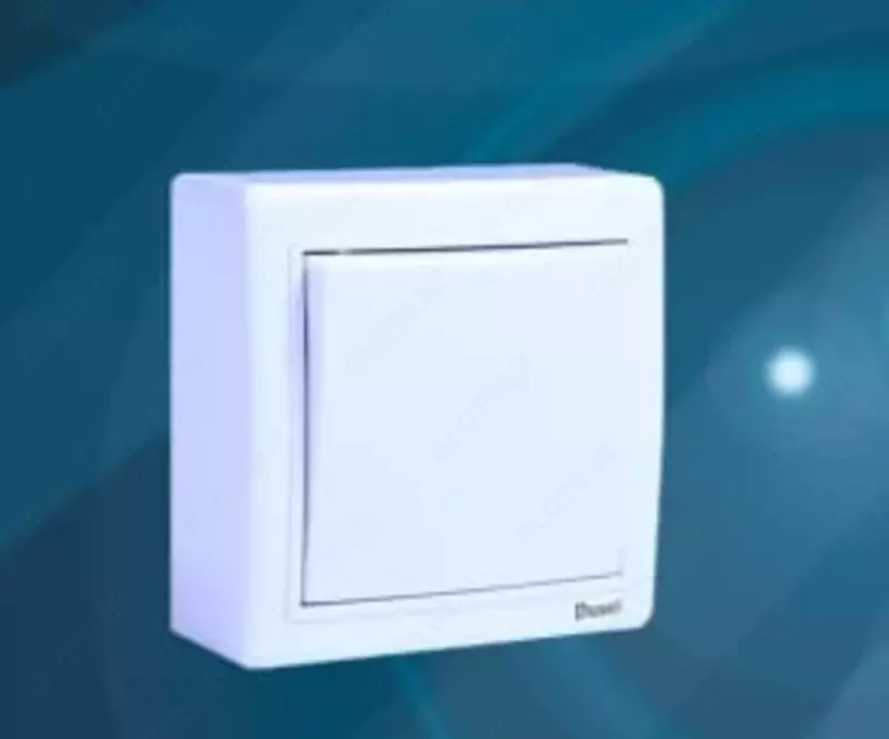 Tashqi kalit (bir tugma) "Dusel" Rich-101