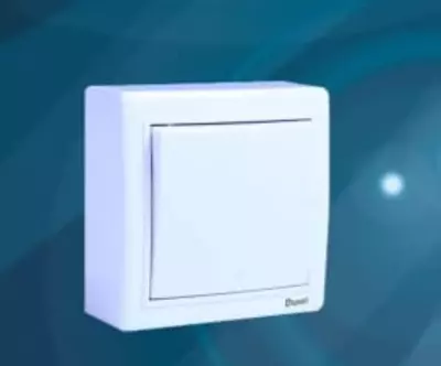 Наружный выключатель (одноклавишный) "Dusel" Rich-101