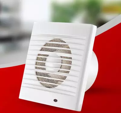 Вытяжной бытовой вентилятор (встраиваемый) "Dusel" DV-100, 12W, IP20 (Silver)