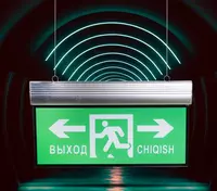 Аварийное светодиодное табло (Выход направо/налево) "Dusel" EX1