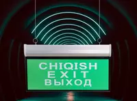 Аварийное светодиодное табло (Выход-Exit) "Dusel" EX3