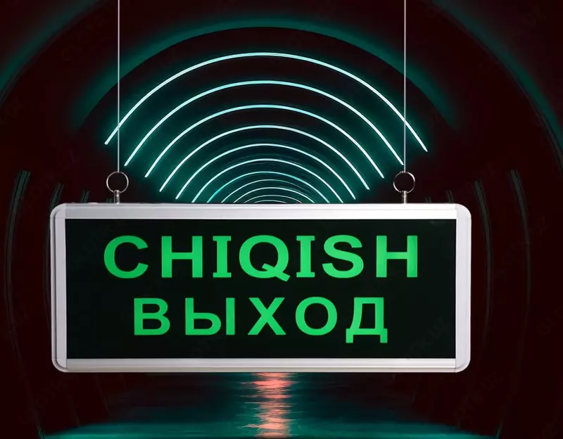 Аварийное светодиодное табло (Выход-Chiqish) "Dusel" EX5, 3W, IP20 (Зеленое)