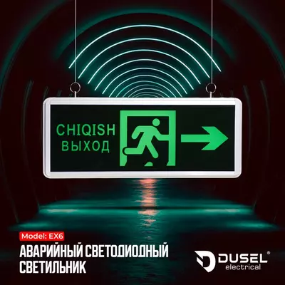 Аварийное светодиодное табло (Выход - Сhiqish направо) "Dusel" EX6, 3W, IP20 (Зеленое)