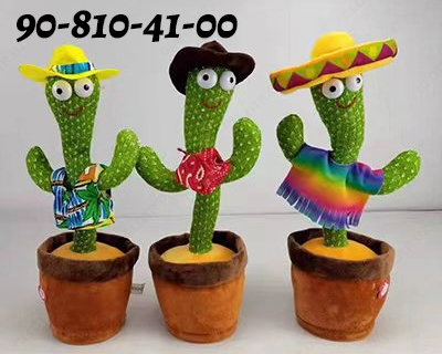 Танцующий КАКТУС