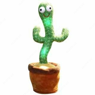 Танцующий КАКТУС