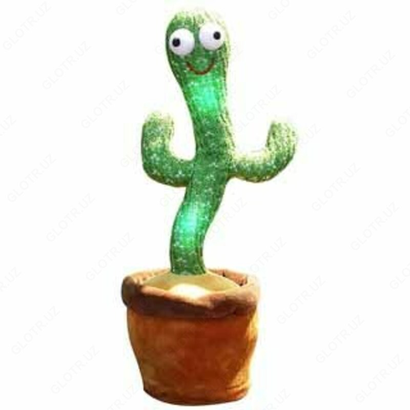 Alsafia - Танцующий КАКТУС