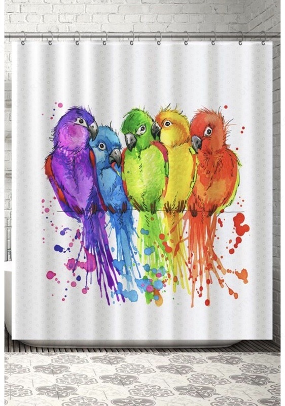 Hammom pardalari (20 dan ortiq turdagi rasmlar