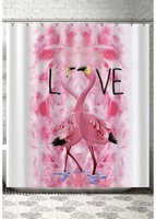 Hammom pardalari (20 dan ortiq turdagi rasmlar