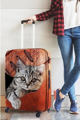 Чехол для чемодана