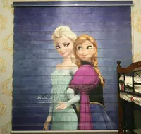 ТКАНЕВЫЕ ЖАЛЮЗИ - ШТОРЫ FOTO Combo АННА И ЭЛЬЗА