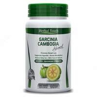 Garcinia Cambogia Slimming Garcinia Cambogia O'simlik Yoshlari