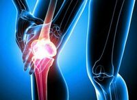 Мазь для лечения суставов Disaar Только в розницу