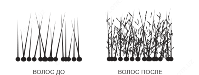 150 000 сум / шт. Пудра загуститель волос Toppik (27.5гр)