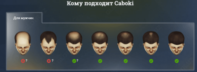 Пудра загуститель волос Toppik (27.5гр)