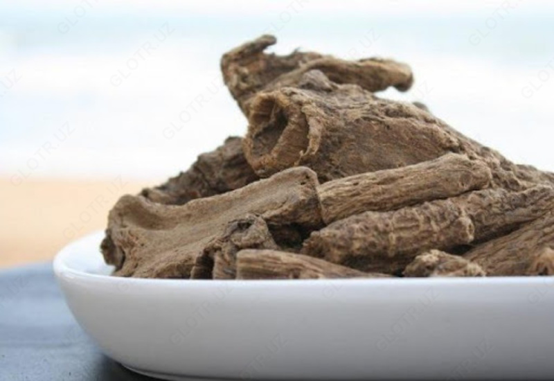 Qishki al hindcha kapsulasi