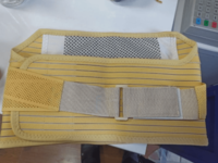 Orqa miya churrasi kamari